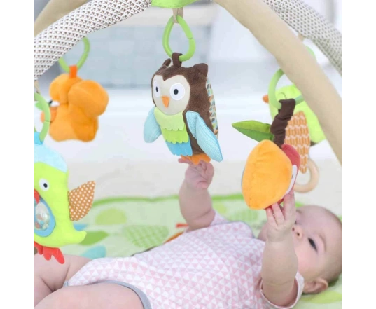 Розвиваючий килимок з дугами Skip Hop Мешканці казкового лісу 