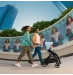 Универсальная коляска 2в1 Bugaboo DRAGONFLY - grafite/midnight black dark cherry