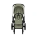 Прогулянкова коляска Cybex PRIAM Style Collection 5.0 - sage green (шасі Matt Black)