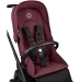 Прогулочная коляска Bugaboo DRAGONFLY - black/dark cherry-dark cherry