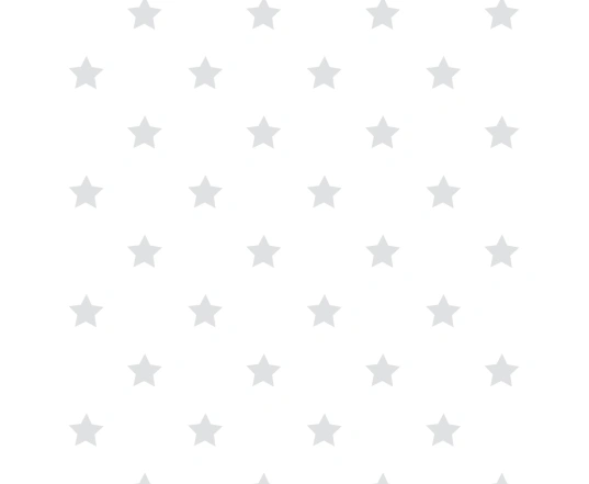 Набір конвертів на блискавці Swaddleme Pod Grey/White Dot (2шт)