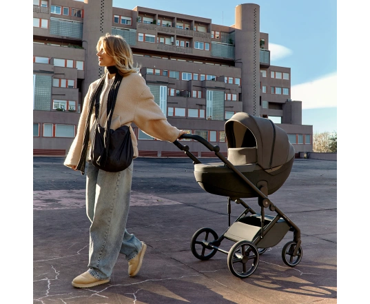 Універсальна коляска 2 в 1 Anex MEV - toon