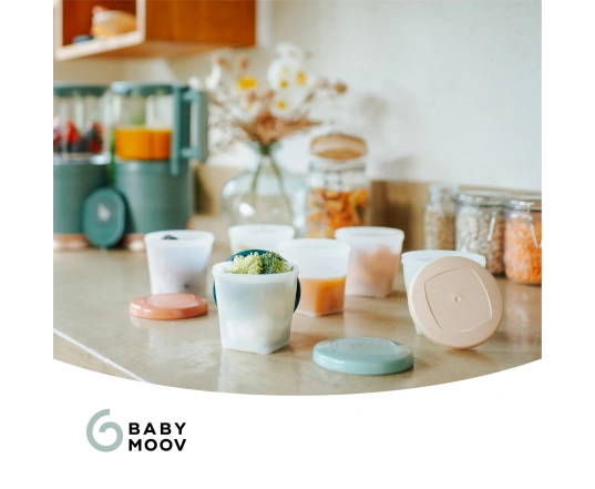 Набор контейнеров для еды Babymoov Biosourced 250ml (x6)