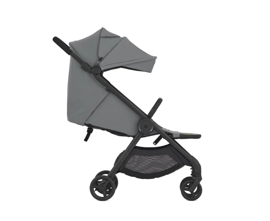 Універсальна коляска 2 в 1 Anex IQ BASIC - loft