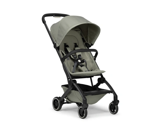 Универсальная коляска 2 в 1 Joolz Aer+ Sage green