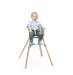 Стiльчик дитячий Stokke CLIKK - clover green