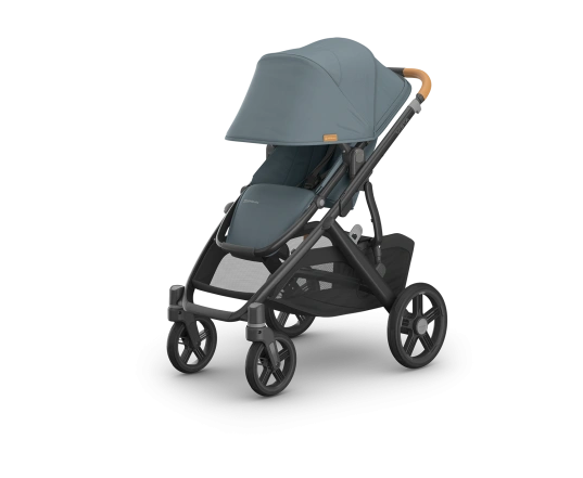 Коляска 2 в 1 UPPAbaby Vista V3 - Dillan