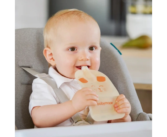 Паучи для пюре Babymoov ISY x 20 шт