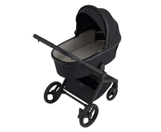 Универсальная коляска 2 в 1 Anex FLO - lungo
