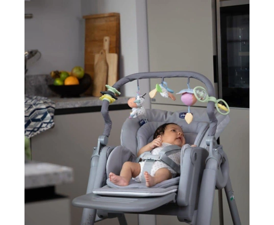 Стільчик для годування Chicco Polly Magic RELAX, 79502.21