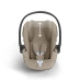 Автокресло Cybex Cloud T-iSize Simply Flowers Pink