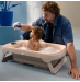 Розкладна ванна Maxi-Cosi INDIGO PLUS з вкладкою - muted terra