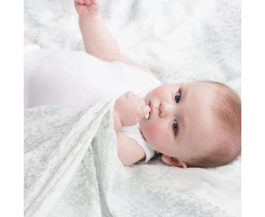 Набір пелюшок Aden + Anais 3-х шт (120*120 см, бамбуковий муслін) Metallic skylight birch