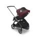 Прогулочная коляска Bugaboo DRAGONFLY - grafite/midnight black dark cherry