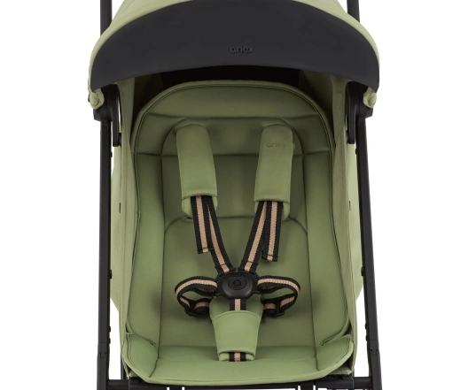 Прогулянкова коляска Anex Air-X 2 - VERT