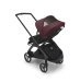 Прогулочная коляска Bugaboo DRAGONFLY - black/midnight black dark cherry