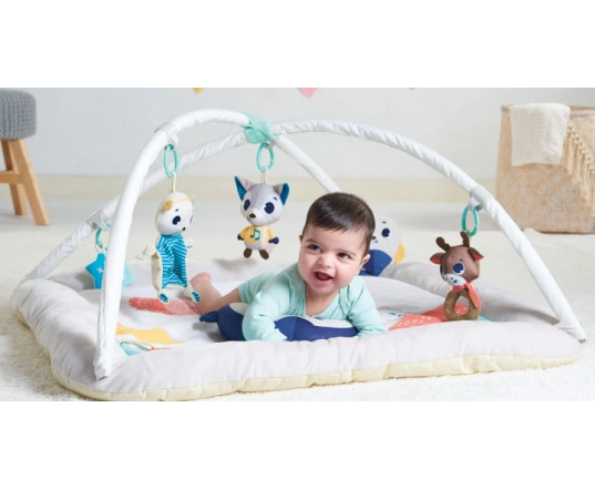 Розвиваючий килимок TINY LOVE Північний Полюс плюшевий