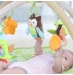 Розвиваючий килимок з дугами Skip Hop Мешканці казкового лісу 