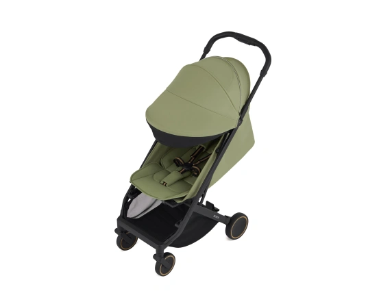 Прогулянкова коляска Anex Air-X 2 - VERT