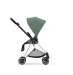 Прогулянкова коляска Cybex MIOS - leaf green (шасі Chrome Black)
