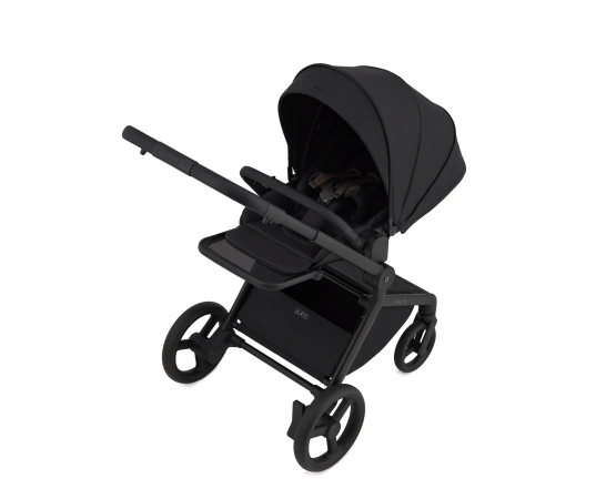 Универсальная коляска 2 в 1 Anex FLO - lungo