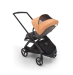 Универсальная коляска 2в1 Bugaboo DRAGONFLY - grafite/midnight black island coral