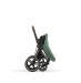Комплект ткани Cybex Priam Lux Seat -  Leaf Green