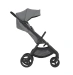 Універсальна коляска 2 в 1 Anex IQ BASIC - loft
