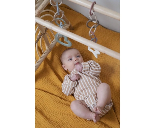 Іграшка - прорізувач BIBS Baby Bitie Heart Sage