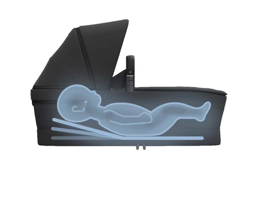 Люлька Maxi-Cosi FAME CABIN - black onyx