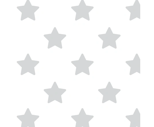 Конверт на липучках Summer Infant Swaddleme Original Gray Star