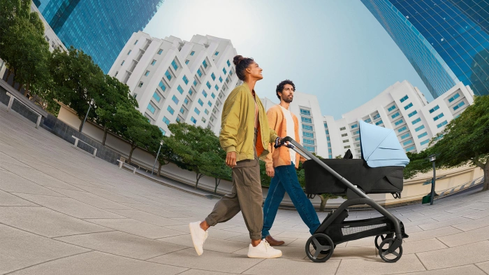 Коляска 2в1 Bugaboo Dragonfly Grey Melange-58 - изображение