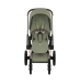Прогулянкова коляска Cybex PRIAM Style Collection 5.0 - sage green (шасі Rose Gold)