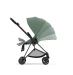 Коляска 2 в 1 Cybex Mios Leaf Green (шасси Matt Black)
