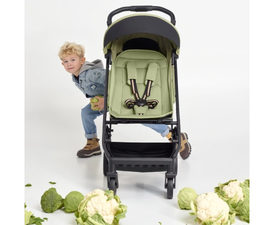 Прогулянкова коляска Anex Air-X 2 - VERT