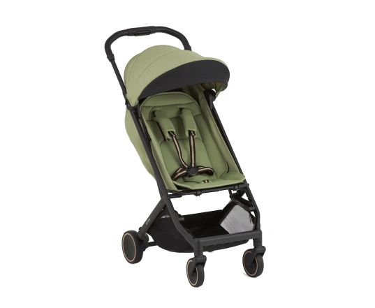 Прогулянкова коляска Anex Air-X 2 - VERT