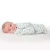 Конверт на липучках Summer Infant Swaddleme Original Ditzie Ellie