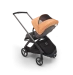 Прогулочная коляска Bugaboo DRAGONFLY - grafite/grey melange island coral