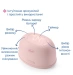 Молоковідсмоктувач електричний Chicco STIMOLATTE