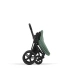 Прогулянкова коляска Cybex PRIAM - leaf green (шасі Matt Black)