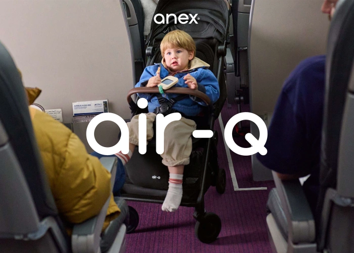 Прогулянкова дитяча коляска Anex Air-Q купити з доставкою-38 - зображення