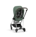 Коляска 2 в 1 Cybex Mios Leaf Green (шасси Chrome)