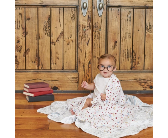 Набір пелюшок Aden + Anais 4 шт (120*120 cм бавовняний муслін) Harry Potter™ Iconic
