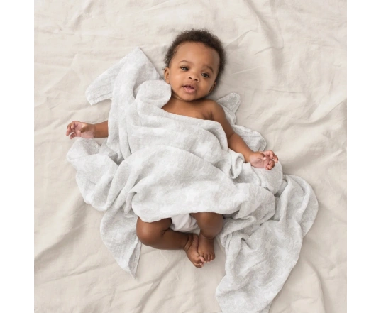 Пелюшка 1 шт Aden+anais (бавовна, 120*120 см) Sleepy stars