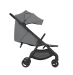 Універсальна коляска 2 в 1 Anex IQ BASIC - loft