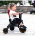 Складной трехколесный велосипед Doona Liki Trike S1 Grey Hound