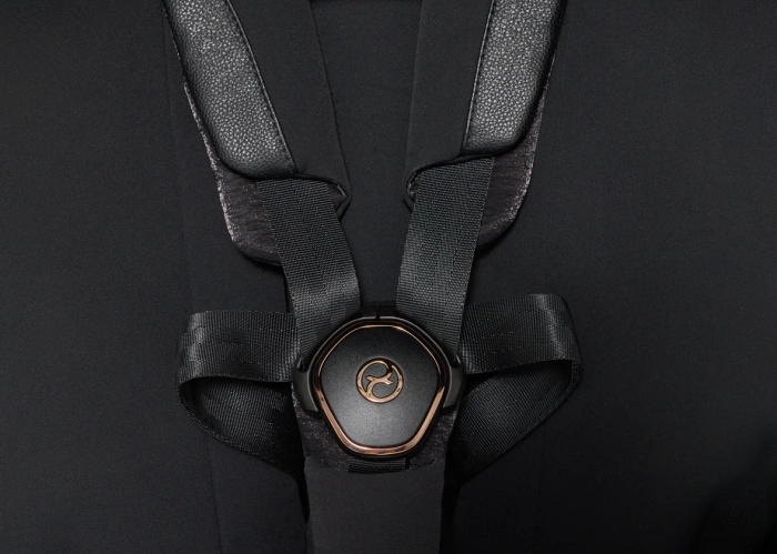 Прогулочная коляска Cybex Mios купить с доставкой-46 - изображение