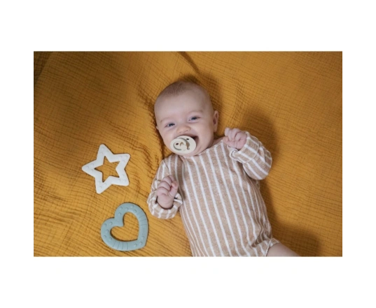 Іграшка - прорізувач BIBS Baby Bitie Heart Sage