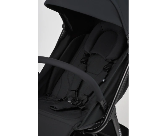 Прогулянкова коляска Anex Air-Z - Space