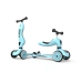 Самокат Scoot and Ride серії Highwaykick-1 лохина,1-5 років